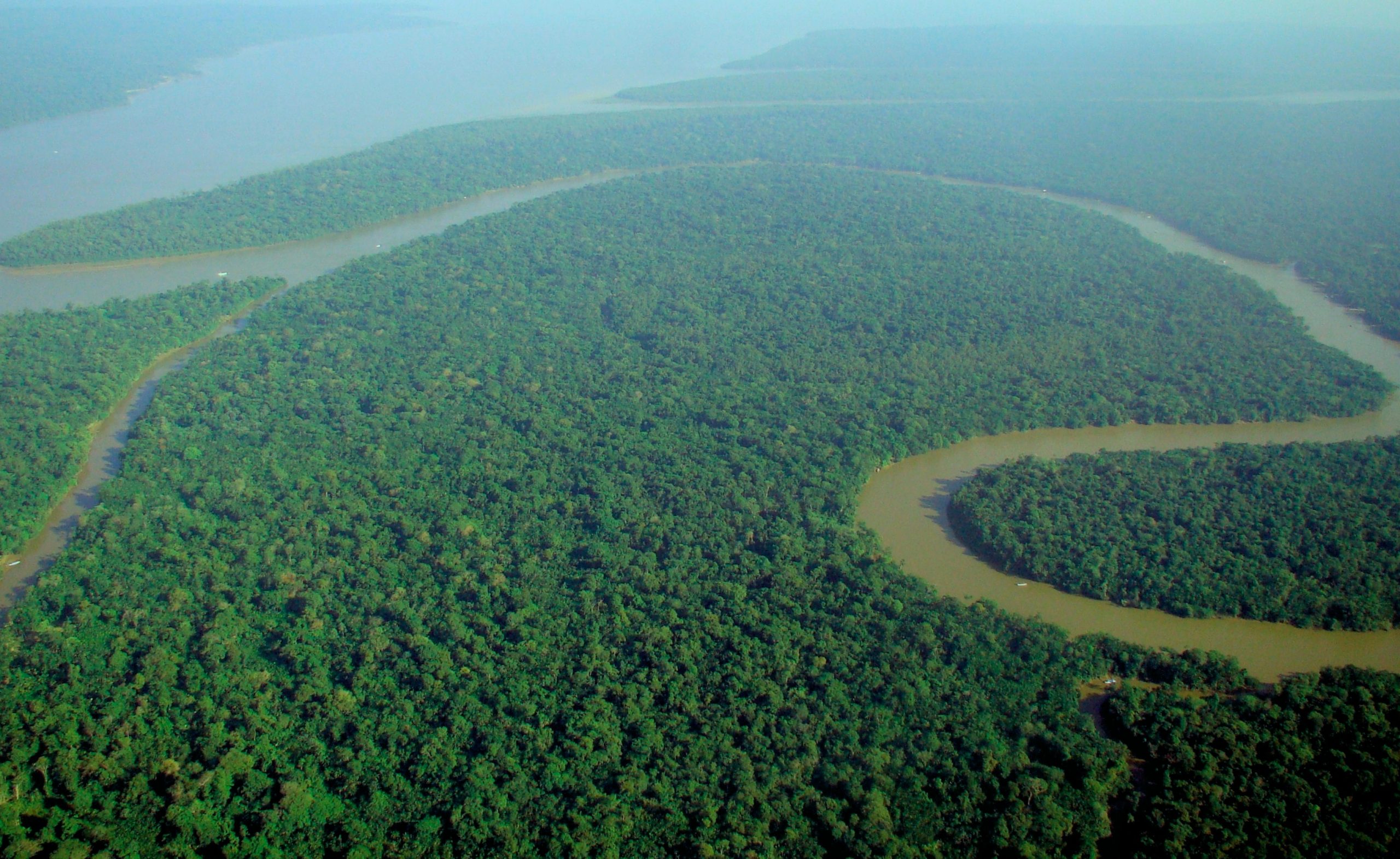 Banner ambiental